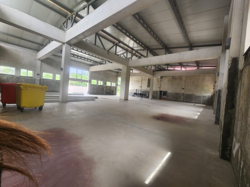 Dragomiresti Deal, Zurbaua