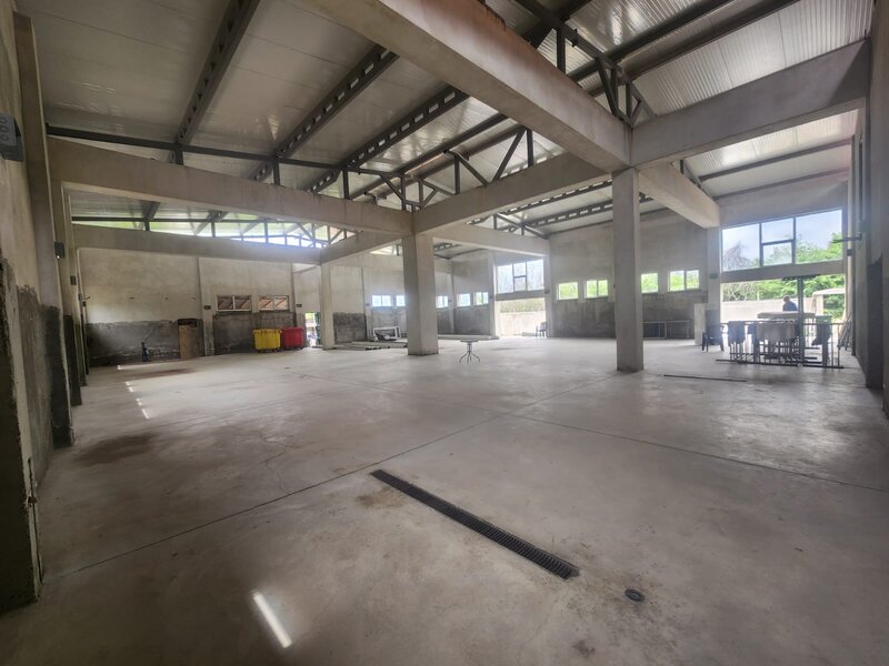 Dragomiresti Deal, Zurbaua