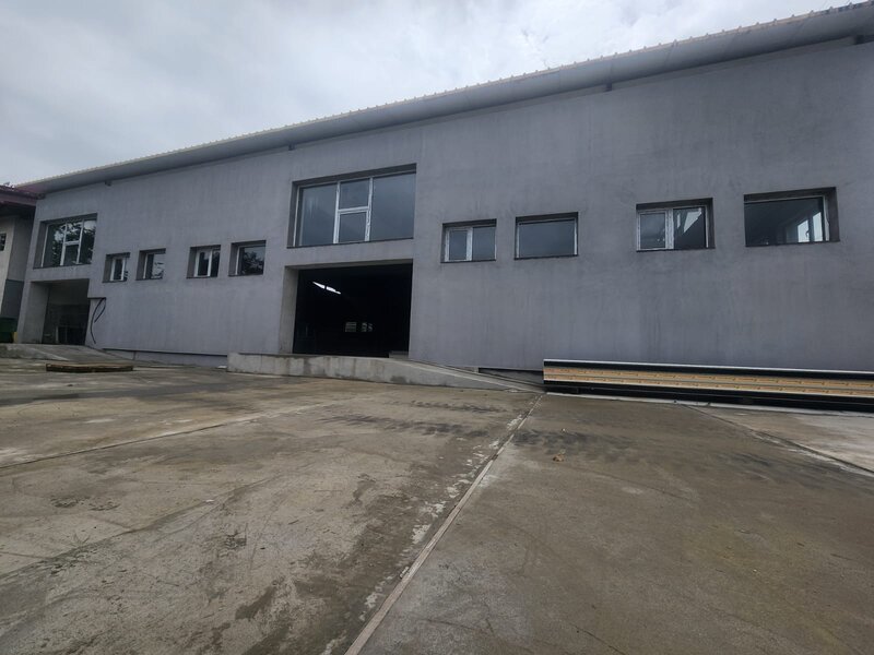 Dragomiresti Deal, Zurbaua