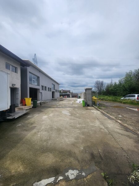 Dragomiresti Deal, Zurbaua